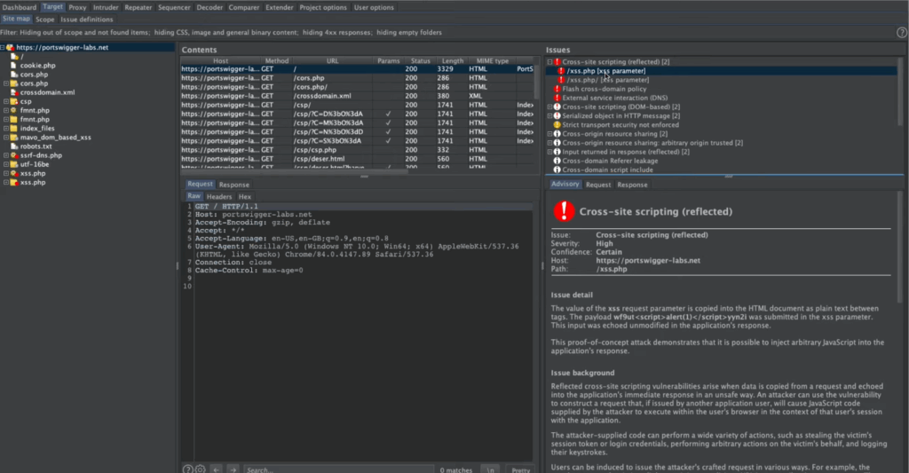 auditing internal web projects using Burp Suite
