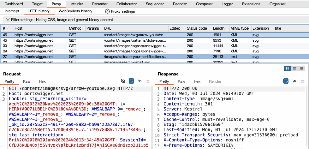 View The HTTP History
