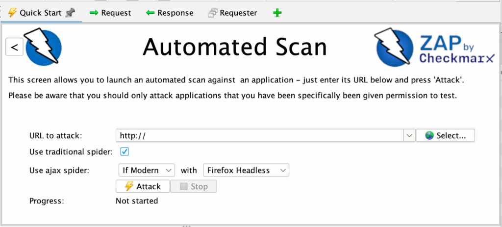 Running an Automated Scan