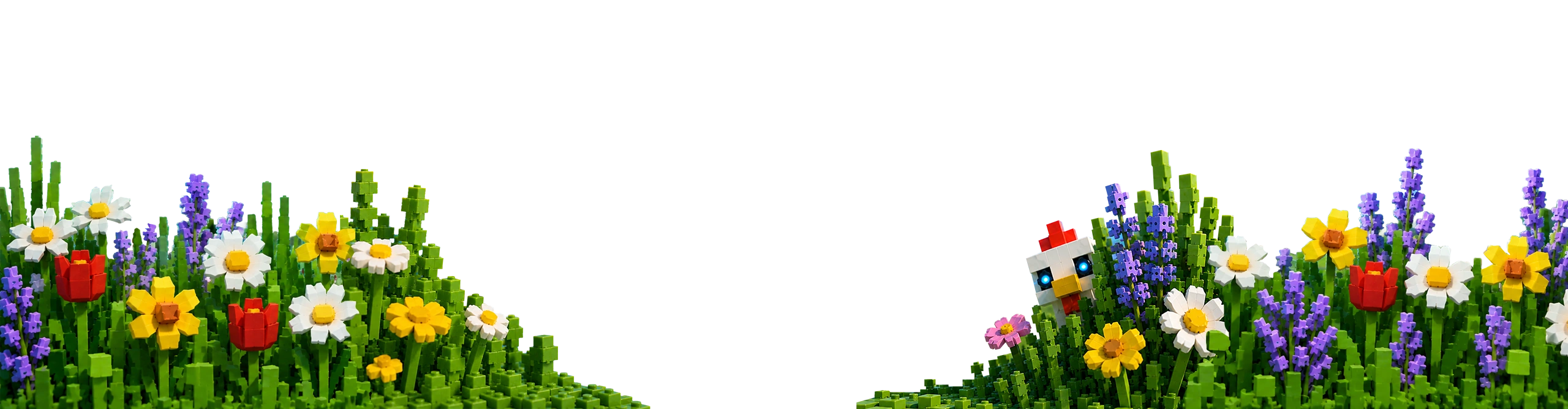 form ox 2560x668px