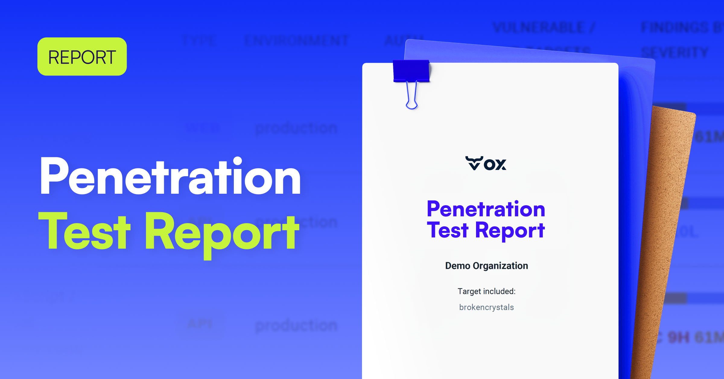 Penetration Test Report