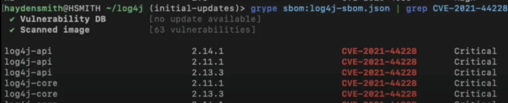 The scan found CVE-2021-44228 (Log4Shell) in multiple log4j-api and log4j-core versions, all marked critical.