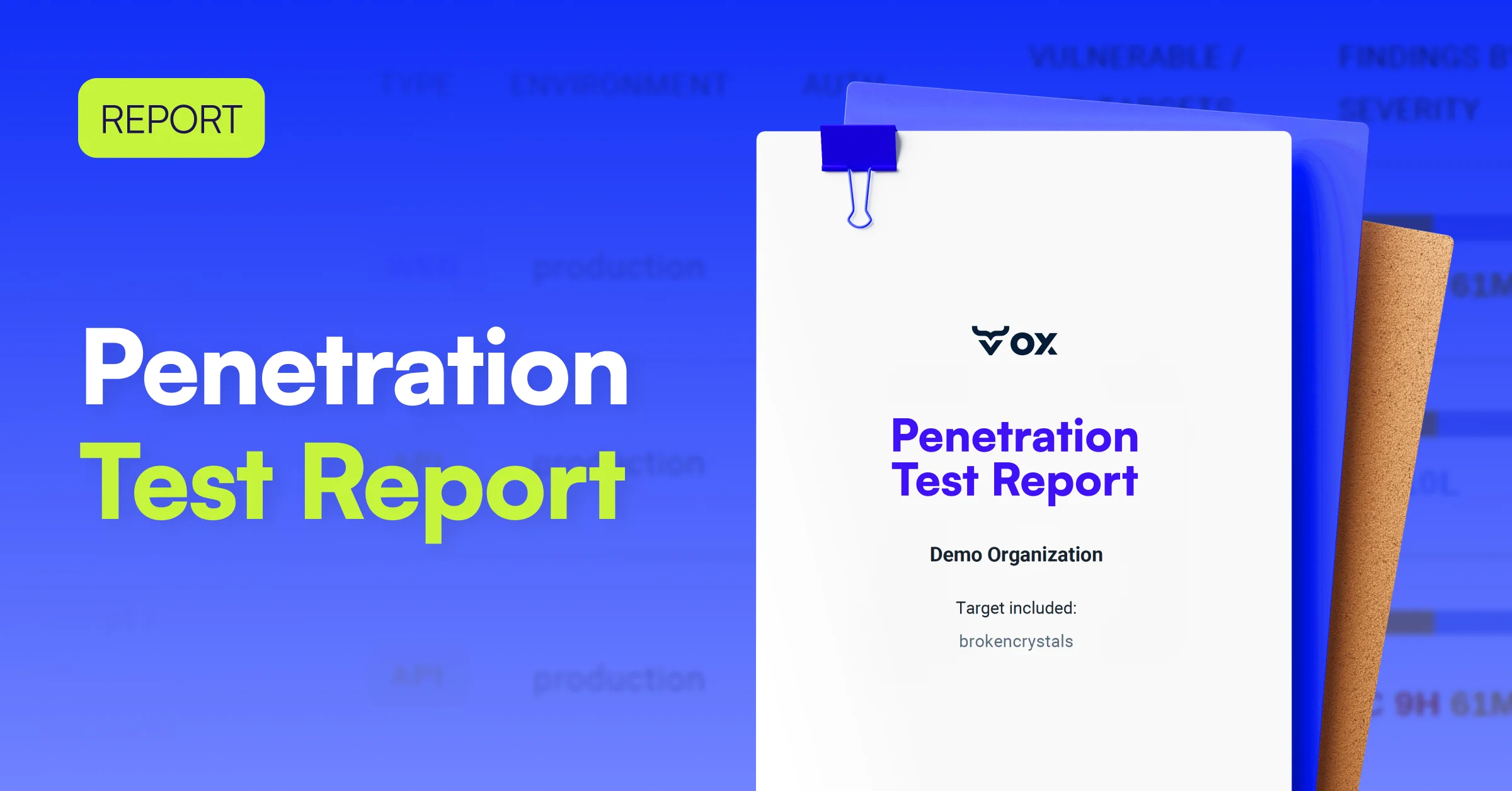 Penetration Test Report